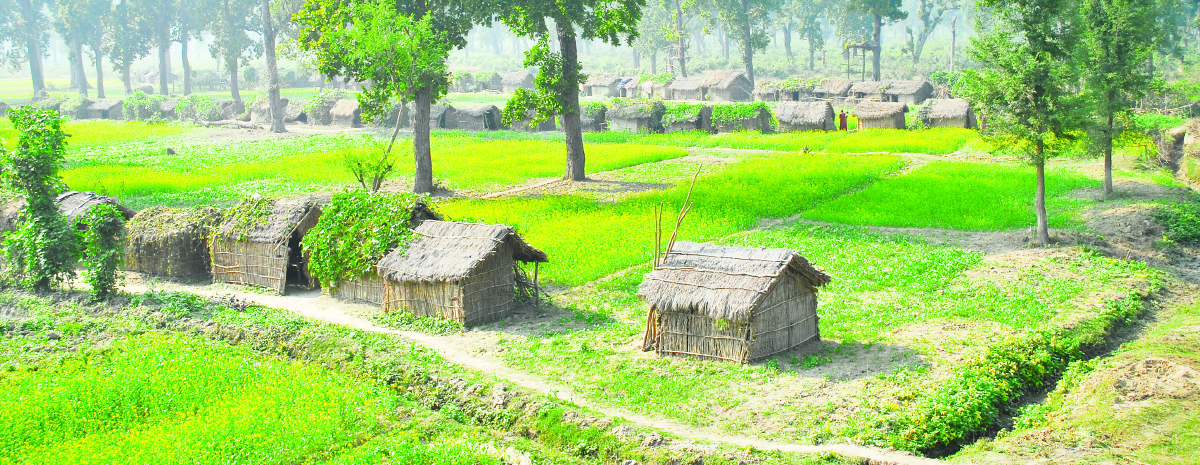 आजदेखि सुकुम्बासीको जग्गा नापिने